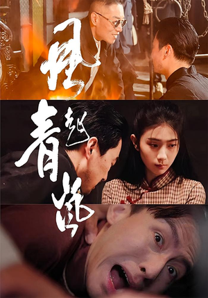 风起青岚（96集）高清画质免费看