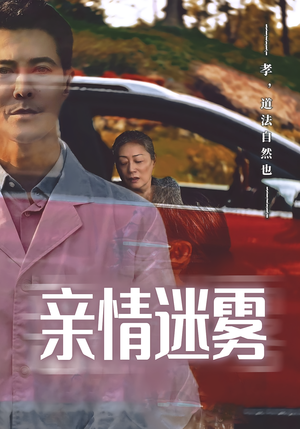 亲情迷雾（30集）免费观看完整版