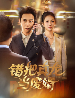 错把真龙当废婿（60集）分享热门短剧