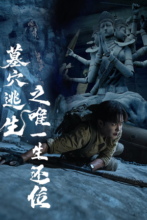 墓穴逃生之唯一生还位（70集）短剧追到爽