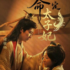 命定太子妃（63集）夸克网盘观看