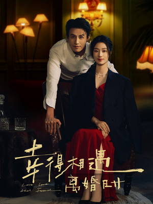 幸得相遇离婚时（81集）精彩的短剧