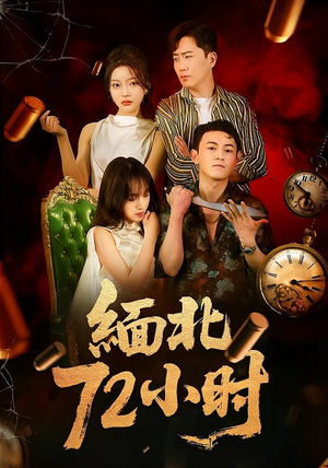 缅北72小时（43集）最新热剧免费看