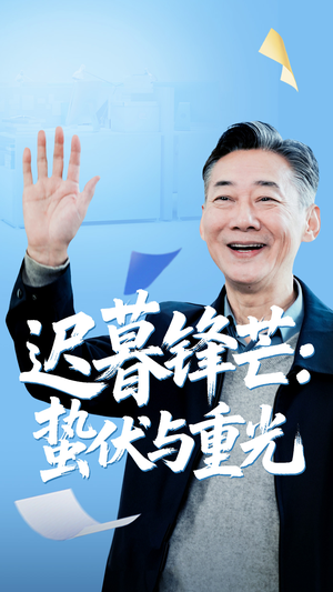 迟暮锋芒蛰伏与重光（81集）好看吗