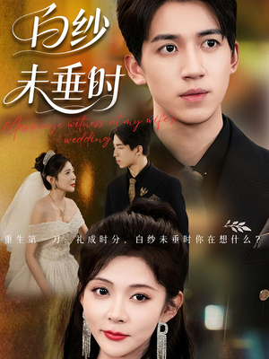 老婆婚礼，我当证婚人&老婆婚礼我当证婚人&白纱未垂时（54集）免费短剧看全集