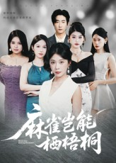 麻雀岂能栖梧桐（31集）短剧免费看全集