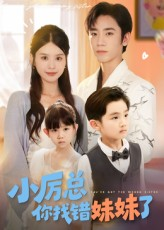 小厉总你找错妹妹了（52集）熬夜追短剧