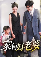 家有好老婆（35集）热门短剧免费看