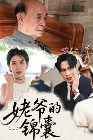 姥爷的锦囊（63集）在线免费观影