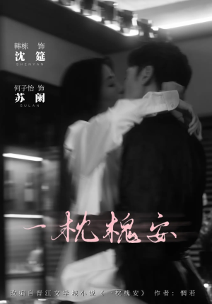 一枕槐安（80集）熬夜追短剧