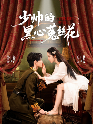 少帅的黑心菟丝花（60集）热播短剧全集看