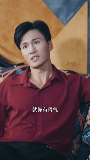 无敌贾二虎&贾二虎的妖孽人生 (80集) 短剧推荐上热门