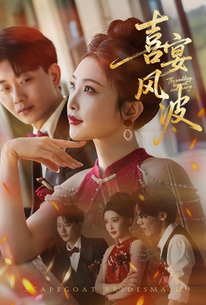 喜宴风波&替罪伴娘（30集）全季一次看完