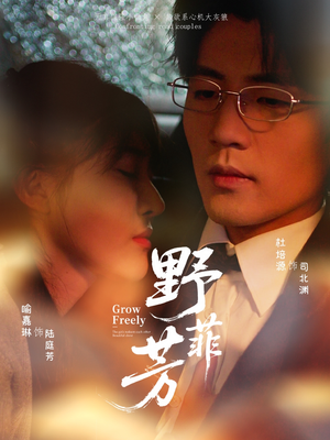 野芳菲（60集）第三季