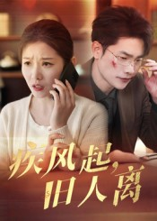 疾风起旧人离(32集) 疾风起旧人离(32集)在线观看完整版