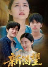 新渴望（30集）热门短剧抢先