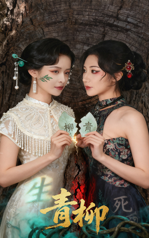 青柳（79集）短剧太好看