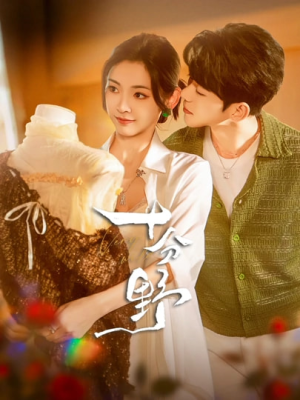 十分野&摘星予南风（73集）第一季