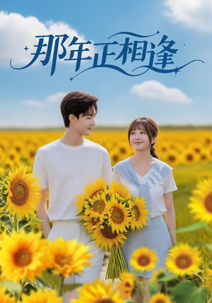 那年正相逢(60集) 那年正相逢(60集)直接看到大结局
