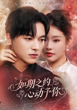 如期之约心动予你（82集）短剧免费观看