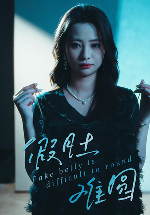 假肚难圆（30集）精彩不断免费看