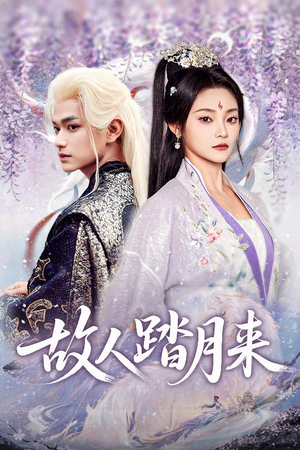 故人踏月来(60集) 故人踏月来(60集)哪个短剧网能看