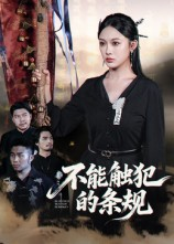 不能触犯的条规(50集) 不能触犯的条规(50集)在哪个平台能看