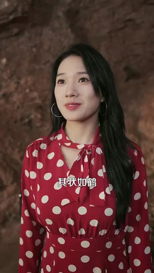 超级机遇系统(86集) 超级机遇系统(86集)爆火短剧抢先看