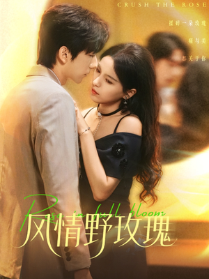 风情野玫瑰（70集）大结局完美收官