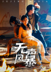 无声风暴(33集) 无声风暴(33集)解说文案