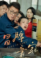 冒牌亲家（30集）好看的国产短剧