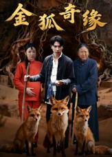 金狐奇缘(42集) 金狐奇缘(42集)在哪个app能看