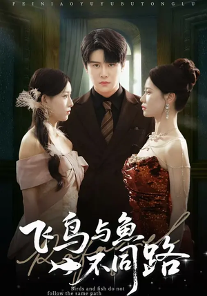 飞鸟与鱼不同路（60集）短剧全集大结局