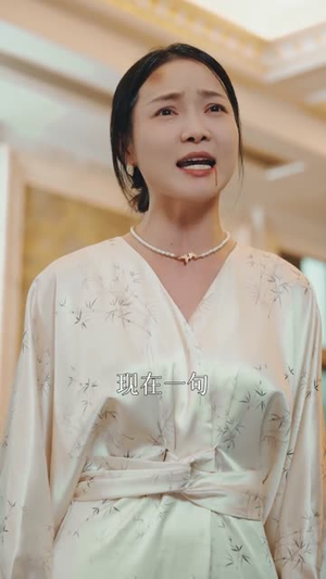 金屋藏凤(30集) 金屋藏凤(30集)第一季