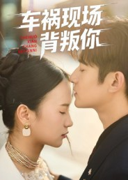 车祸现场背叛你(37集) 车祸现场背叛你(37集)全部免费看全集