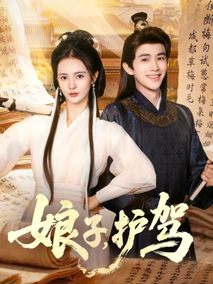娘子护驾(73集) 娘子护驾(73集)看到了大结局