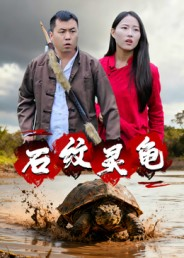 石纹灵龟(30集) 石纹灵龟(30集)解说