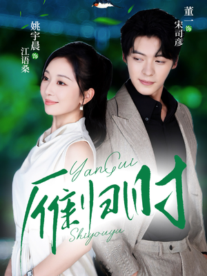 雁归时（70集）最火短剧热播