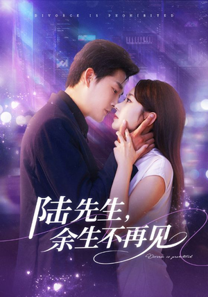 陆先生，余生不再见（88集）精彩片段
