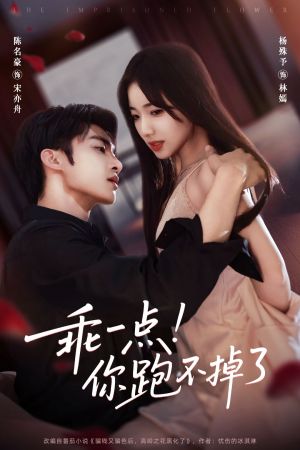 乖一点!你跑不掉了(80集) 乖一点!你跑不掉了(80集)热播短剧抢先看