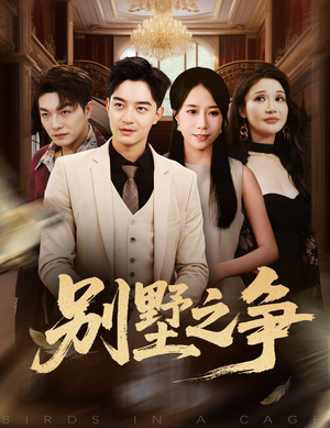 别墅之争(59集) 别墅之争(59集)无需充值尽情看