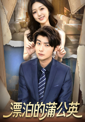 漂泊的蒲公英（60集）短剧在线观看