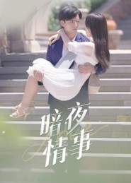 暗夜情事（100集）1-102集