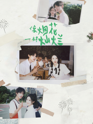 像烟花一样灿烂(60集) 像烟花一样灿烂(60集)超爽短剧推荐