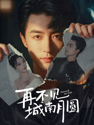再不见城南月圆(60集) 再不见城南月圆(60集)短剧精彩绝伦