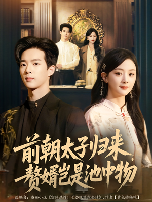 前朝太子归来,赘婿岂是池中物(80集) 前朝太子归来,赘婿岂是池中物(80集)精彩短剧下载