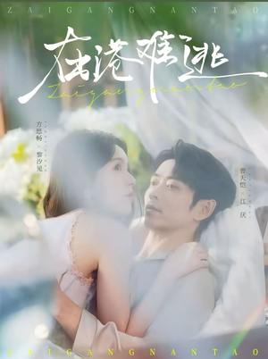 在港难逃(75集) 在港难逃(75集)短剧热门分享