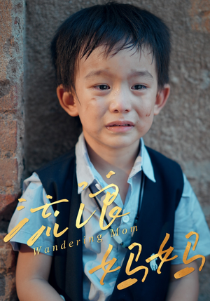 流浪妈妈（30集）热门了短剧