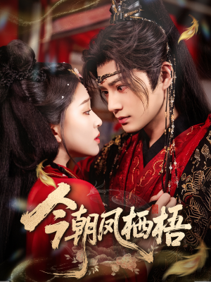 今朝凤栖梧（68集）好看上头短剧