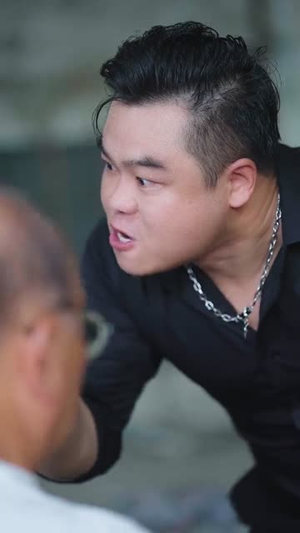 玉石之王我的透视能捡漏(80集) 玉石之王我的透视能捡漏(80集)免费热门短剧